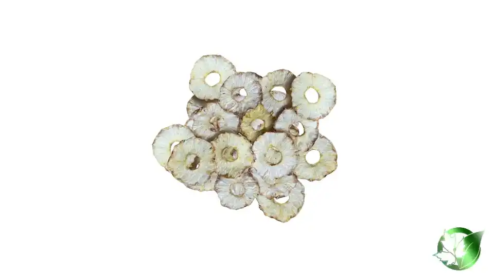 Bulk Dried Pineapple | Suppliers | Wholesale | ParsaFood Global